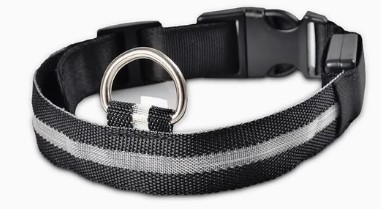 Gloeiende LED-halsband - Wit