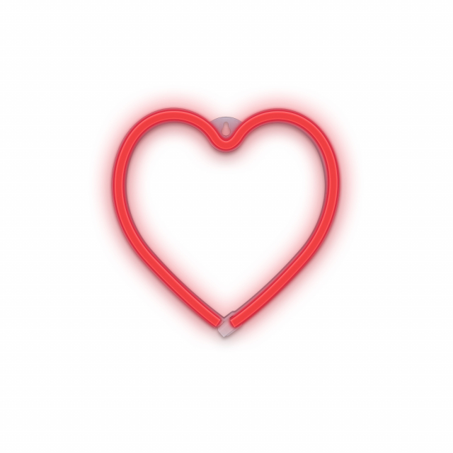 Forever Light Neon LED licht HART batterij + USB FLNEO7, Rood