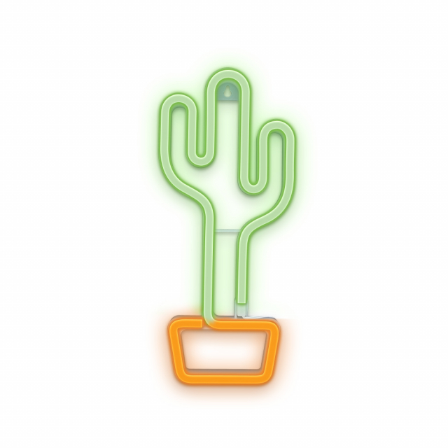 Forever Light Neon LED licht Cactus, batterij + USB FLNEO2, Oranje/Groen