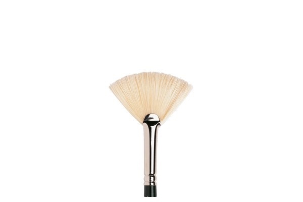 Winton Svinborstpensel Fan Size 8