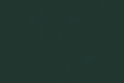 Acrylverf Brunswijkgroen 22ml