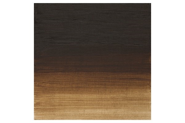 Artists Oil Col 200ML RAW UMBER 554