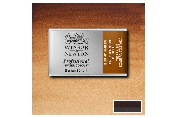 Prof Water Colour Pan/W Burnt Umber 076