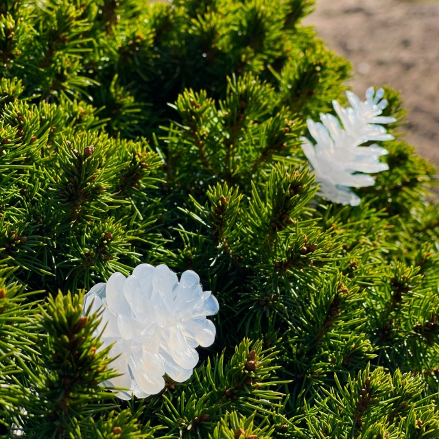 LightsOn Pine 10m ljusslinga vita ljusskimrande kottar