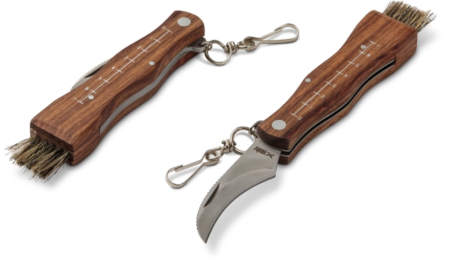 Briv Sponsmes met borstel