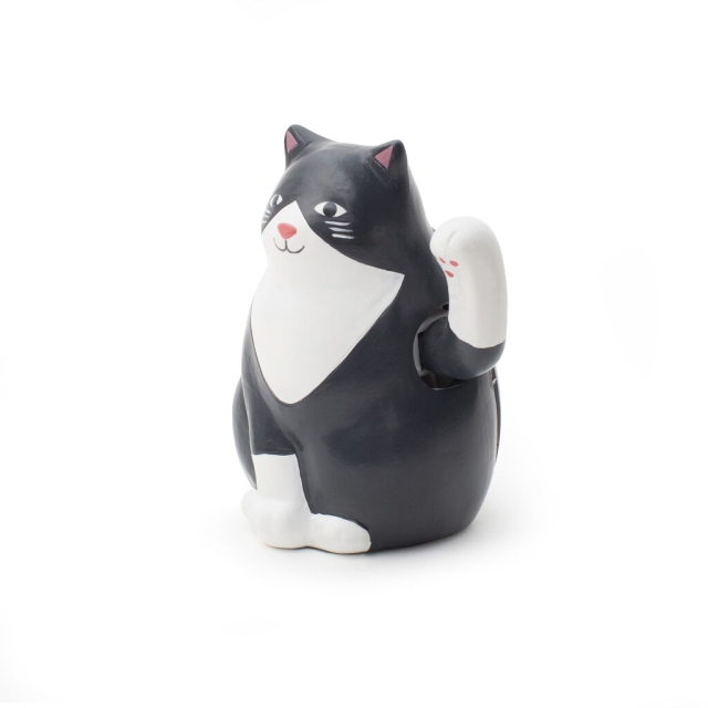 Kikkerland Kat op zonne-energie