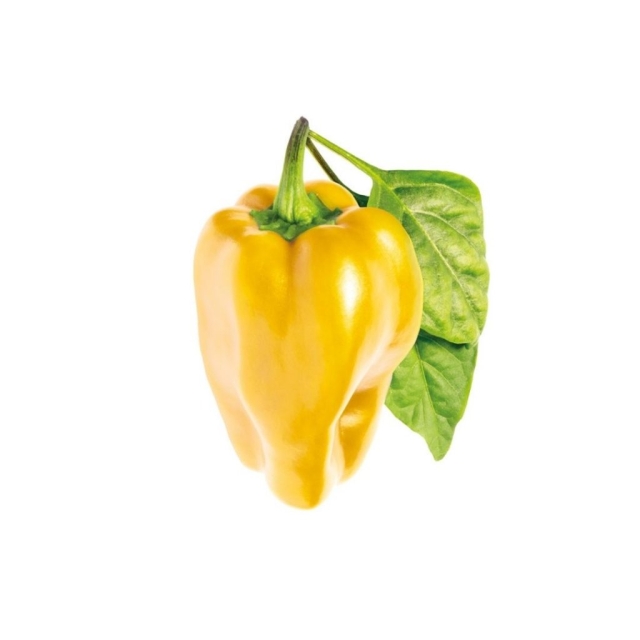 Click & Grow  - Slimme tuin navulling 3-pack - Gele paprika (SGR53X3)