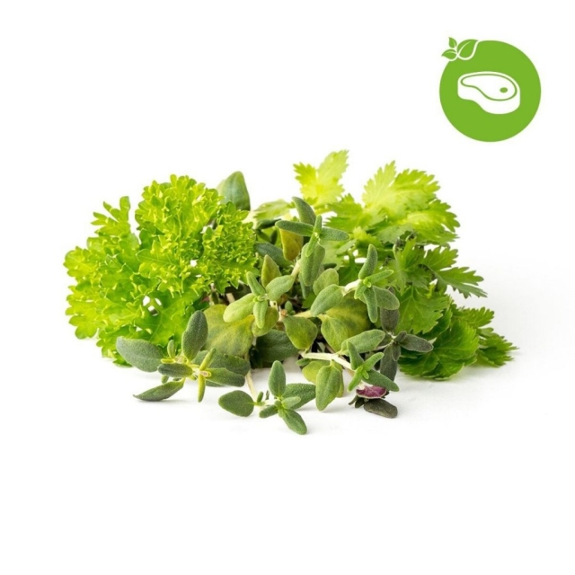 Click & Grow - Smart Garden navulling 9-pak Grill & Steak Mix