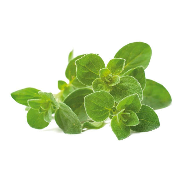 Click & Grow   - Slimme tuin navulling 3-pak Oregano