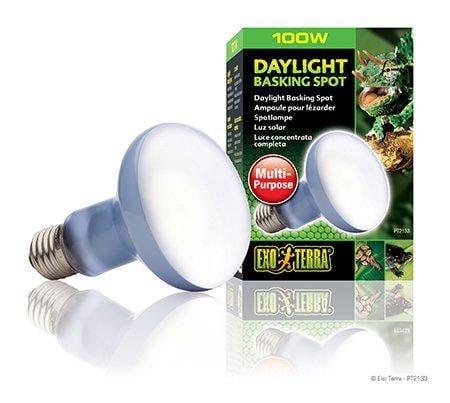 Exoterra Daglicht Spot 100W R25 E27 Groen - (220.2730)