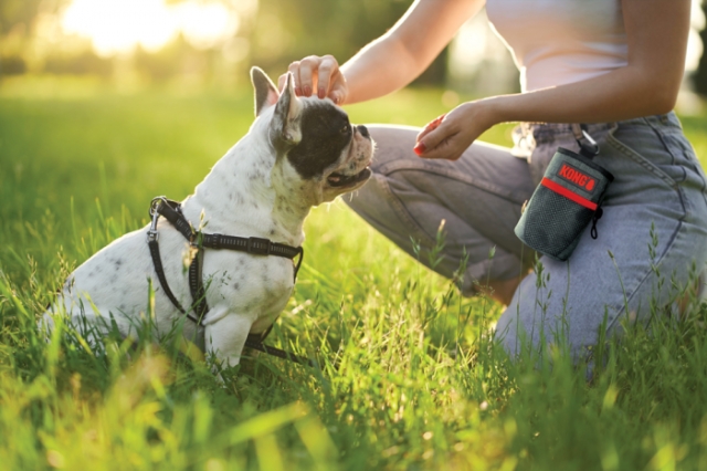 Kong Traktatiezakje 13,5 x12,5cm - (Kong9842)