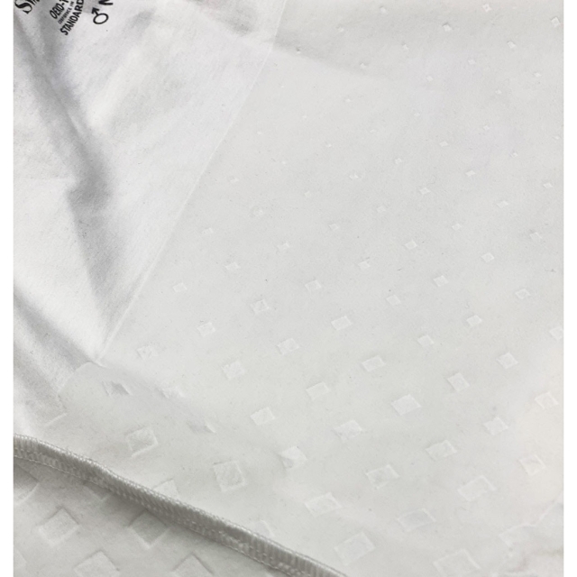 SWEDISH POSTURE T-shirt Herr Alignment Bomull Vit M