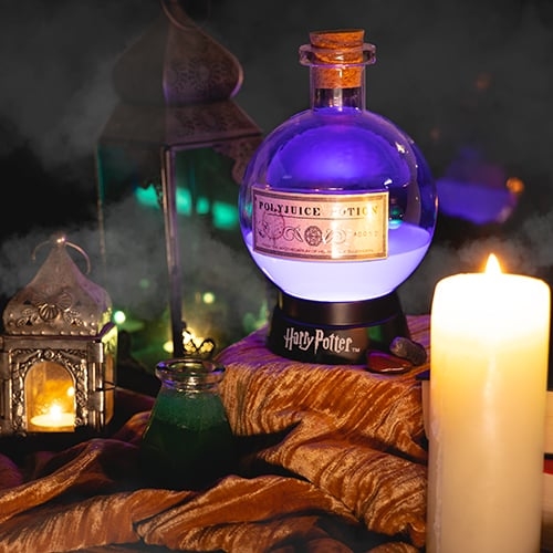 Fizz Creations Harry Potter Lamp met Kleurveranderend Toverdrankje