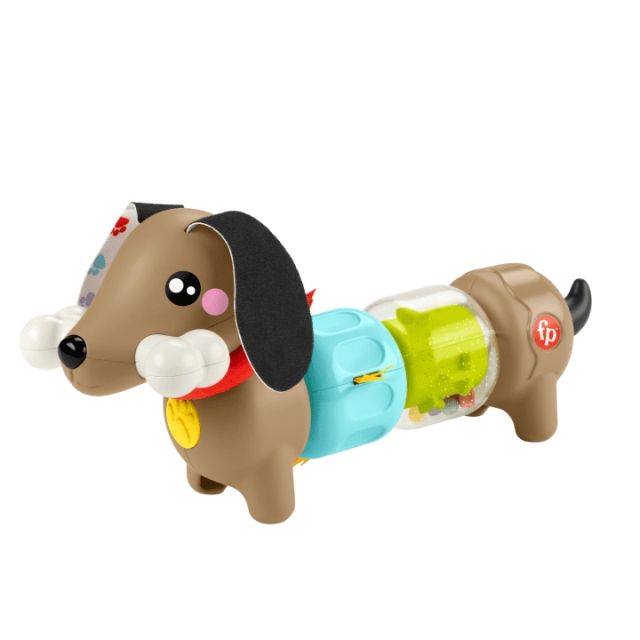 Fisher-Price Fisher Price Baby - Klik en Draai Activiteiten Pup (HTW91)