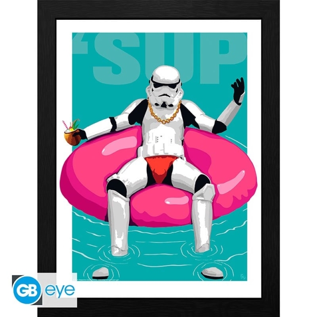 ORIGINELE STORMTROOPER - Ingelijste print Pool Boy (30x40) x2