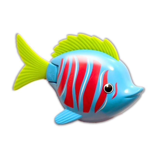 Swims Regenboog Rif Beta Vis - (6072503)