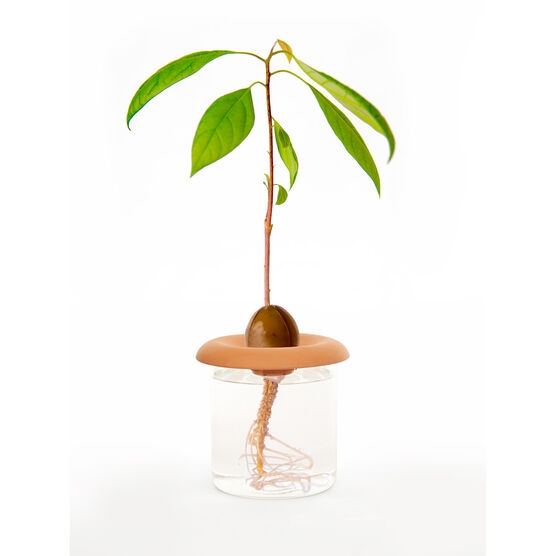 Kikkerland Terracotta - Zaadkiembakken (CD535)