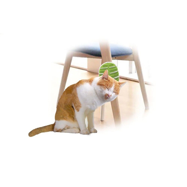 AFP All For Paws - Groomer 2 In 1 20,3X11X2,2Cm - (781.1025)