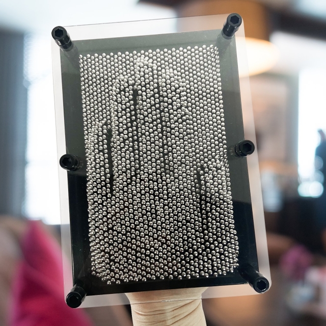 Mad Monkey Pin Kunst