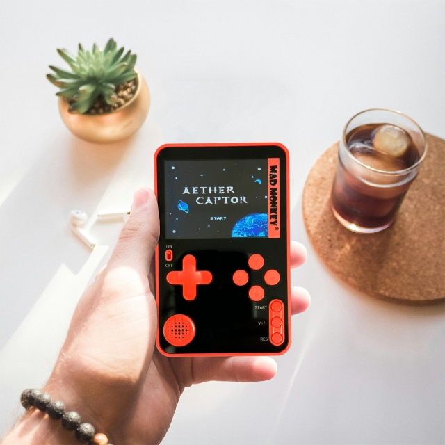 Mad Monkey Slanke console