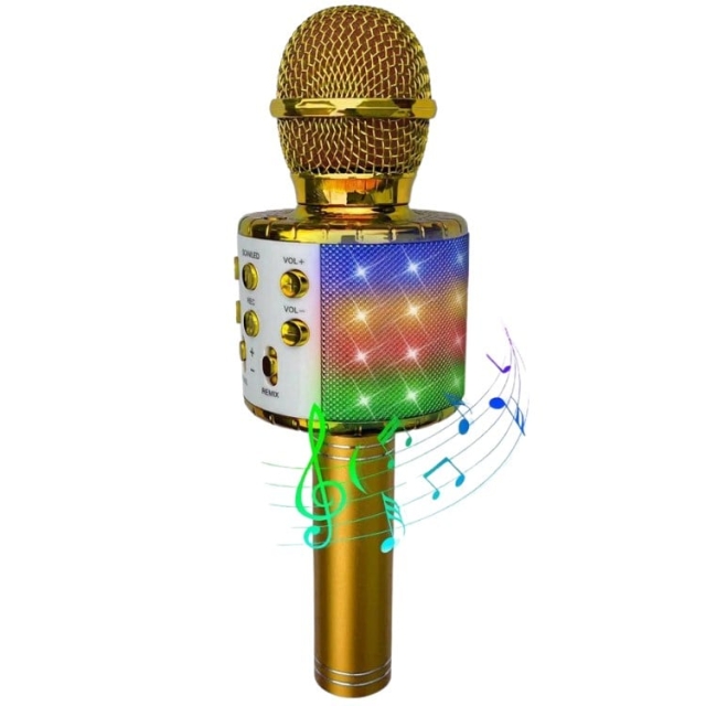 Party Fun Lights Karaokemicrofoon met luidspreker - Goud (605602)