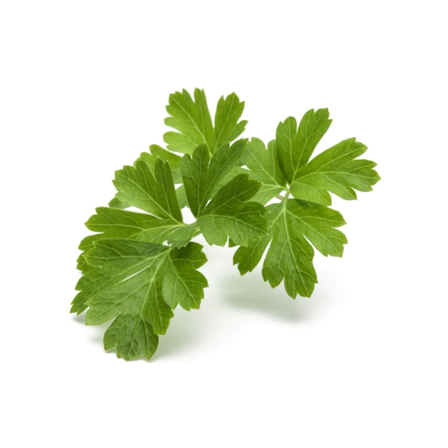 Click & Grow Smart Garden navulling 3-pack platte peterselie