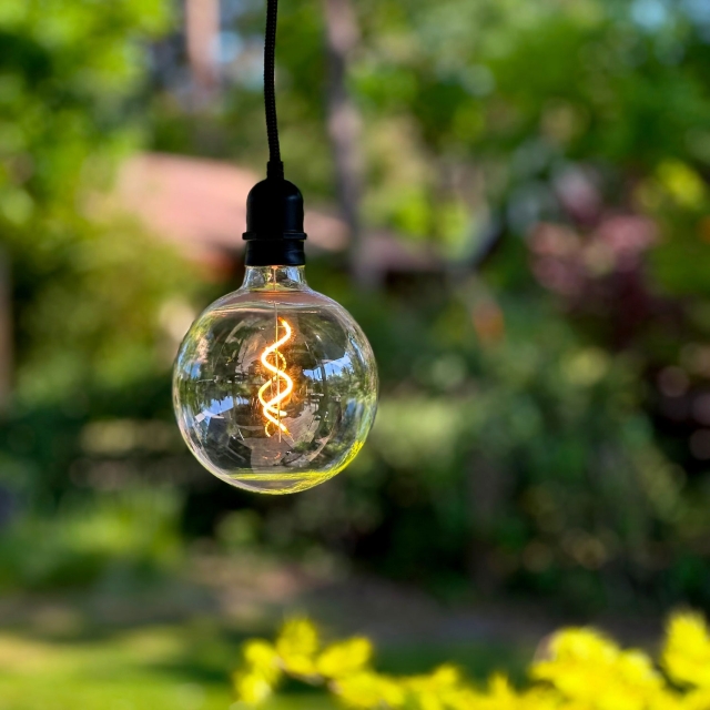 LightsOn Penny Pendellampa Gravity + DecoBulb XL Varmvit