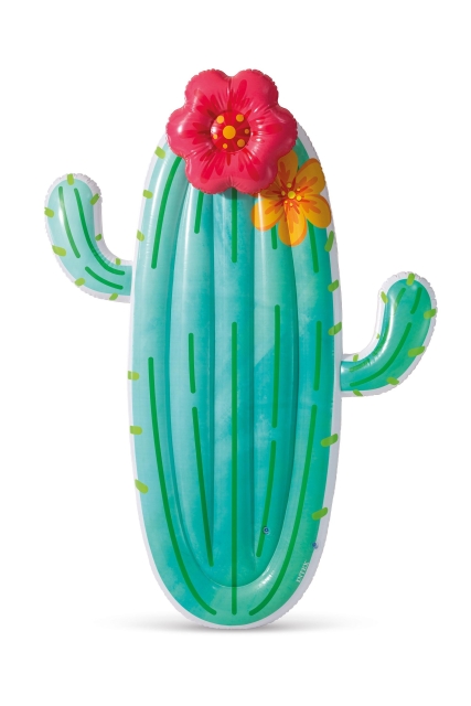 INTEX Cactus Drijver - (58793)