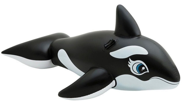 INTEX Walvis berijden (58561)