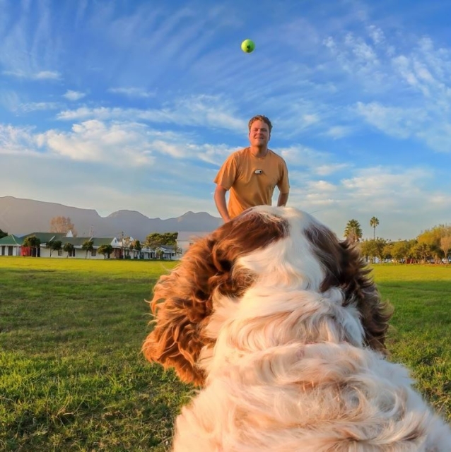 Insta360 GO 3/GO 3S-tuigje voor huisdier, maat S