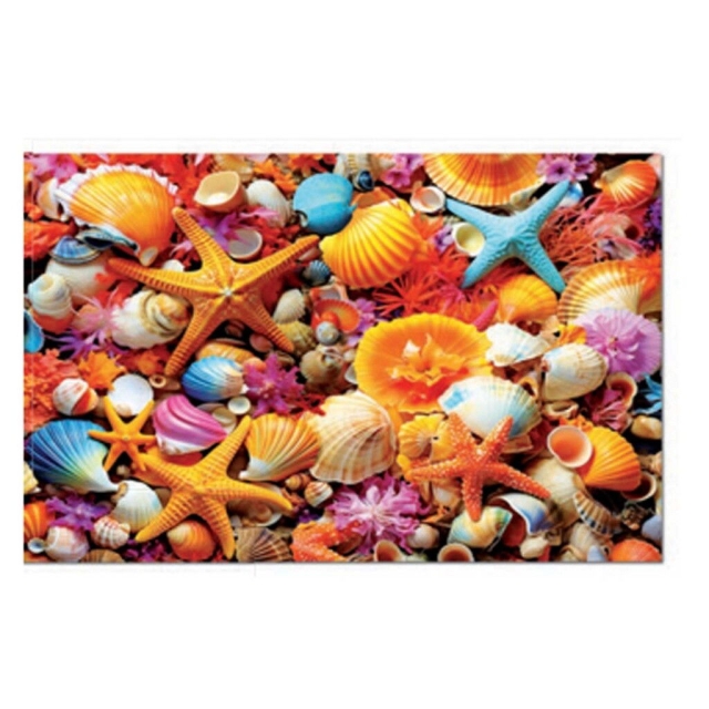 Educa 1000 Schelpen Collage (80-20246)