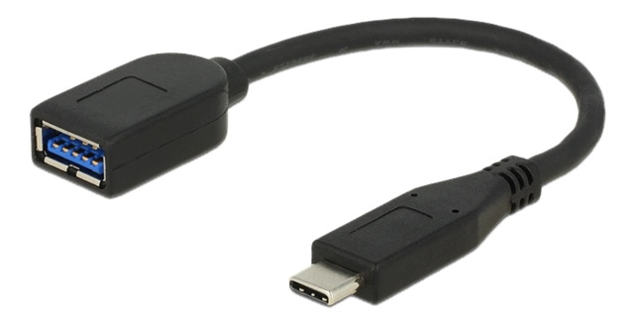 Delock Adapter SuperSpeed USB 10 Gbps (USB 3.1 Gen 2) USB Type-C male in de groep COMPUTERS & RANDAPPARATUUR / Computerkabels / USB / USB-A / Adapters bij TP E-commerce Nordic AB (38-53028)