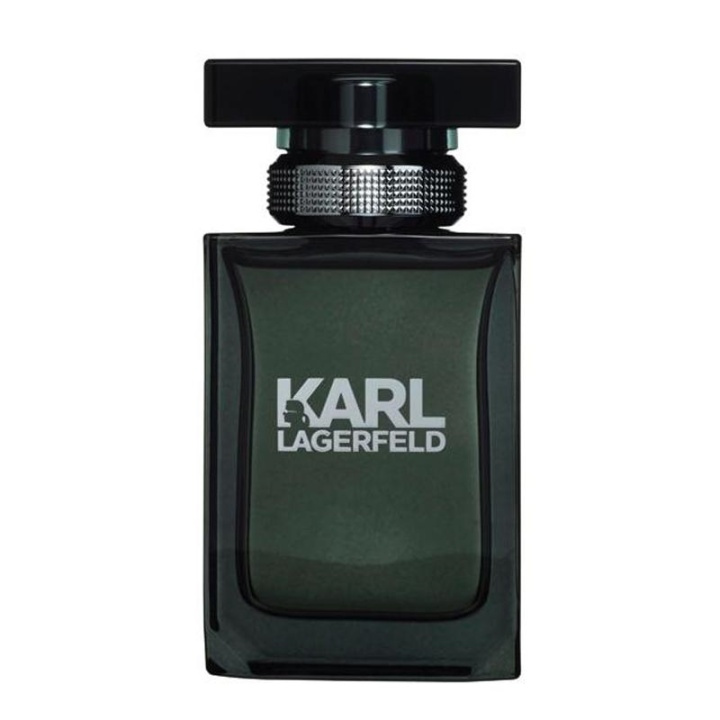 Karl Lagerfeld Pour Homme Edt 100ml in de groep BEAUTY & HEALTH / Geuren & Parfum / Parfum / Parfum voor hem bij TP E-commerce Nordic AB (38-58415)