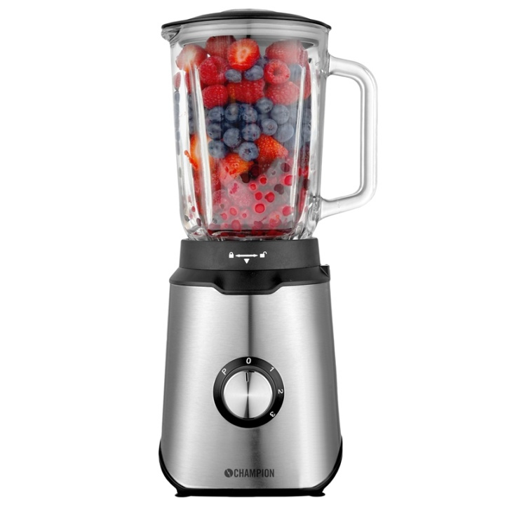 Champion Blender 600W Rostfritt stål in de groep HUISHOUDEN & TUIN / Huishoudelijke apparaten / Keukentools & -apparatuur / Mixers & Blenders bij TP E-commerce Nordic AB (38-74023)