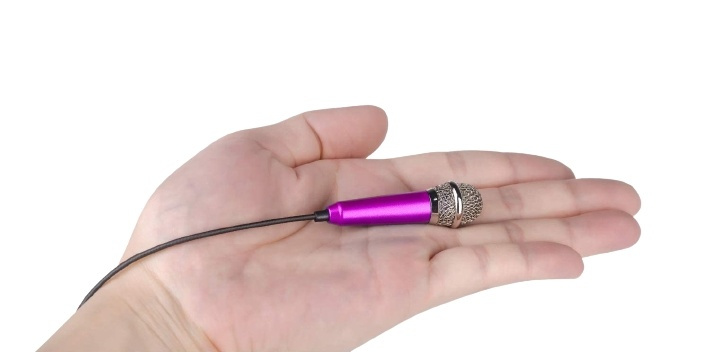 Minimicrofoon, Roze in de groep SPORT, VRIJE TIJD & HOBBY / Leuke dingen / Leuke dingen bij TP E-commerce Nordic AB (38-82790)