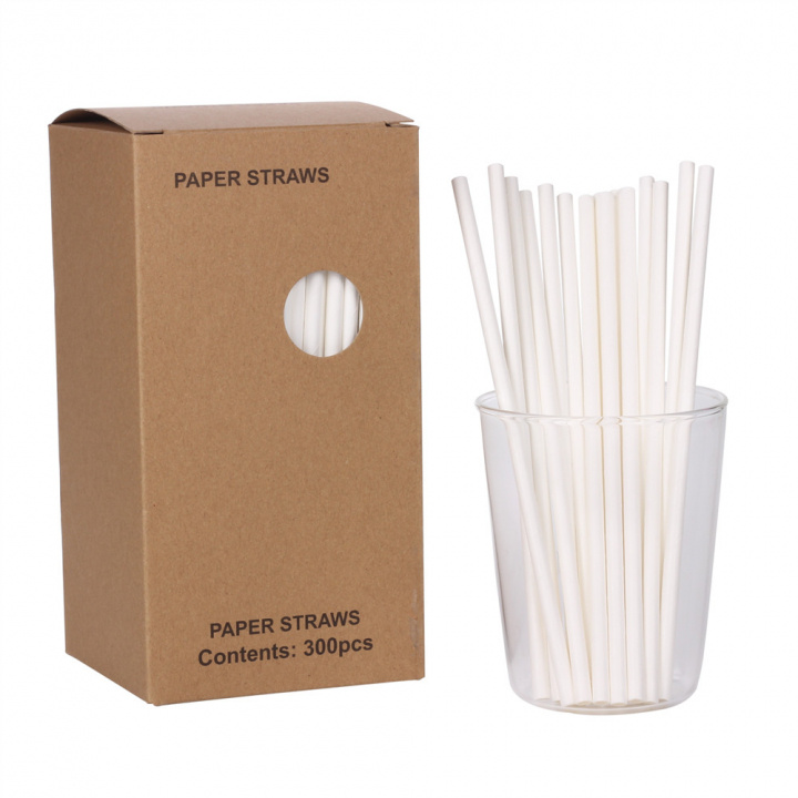 Disposable paper drinking straws, 300pcs in de groep SPEELGOED, KINDER- & BABYPRODUCTEN / Eten & Drinken / Kinderfeestjes bij TP E-commerce Nordic AB (38-83192)
