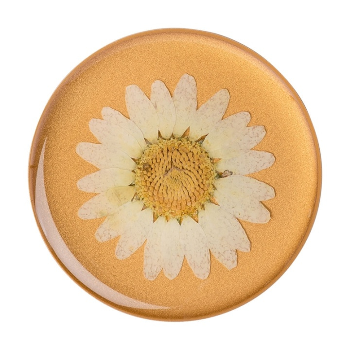POPSOCKETS Pressed Flower White Daisy Removable Grip with Standfunction Premium in de groep SMARTPHONE & TABLETS / Overige accessoires / Popsockets bij TP E-commerce Nordic AB (38-92140)