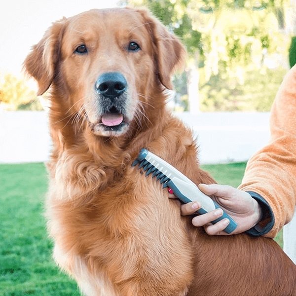 Viltmachine voor huisdieren in de groep HUISHOUDEN & TUIN / Huisdieraccessoires / Hond bij TP E-commerce Nordic AB (38-94187)