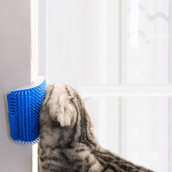 Kattenstimulator, blauw in de groep HUISHOUDEN & TUIN / Huisdieraccessoires / Kat bij TP E-commerce Nordic AB (38-94189)