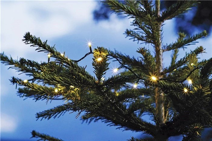 LED-lus op batterijen met timerfunctie, 6,45 m in de groep HOME ELECTRONICS / Verlichting / Kerstverlichting bij TP E-commerce Nordic AB (38-94323)