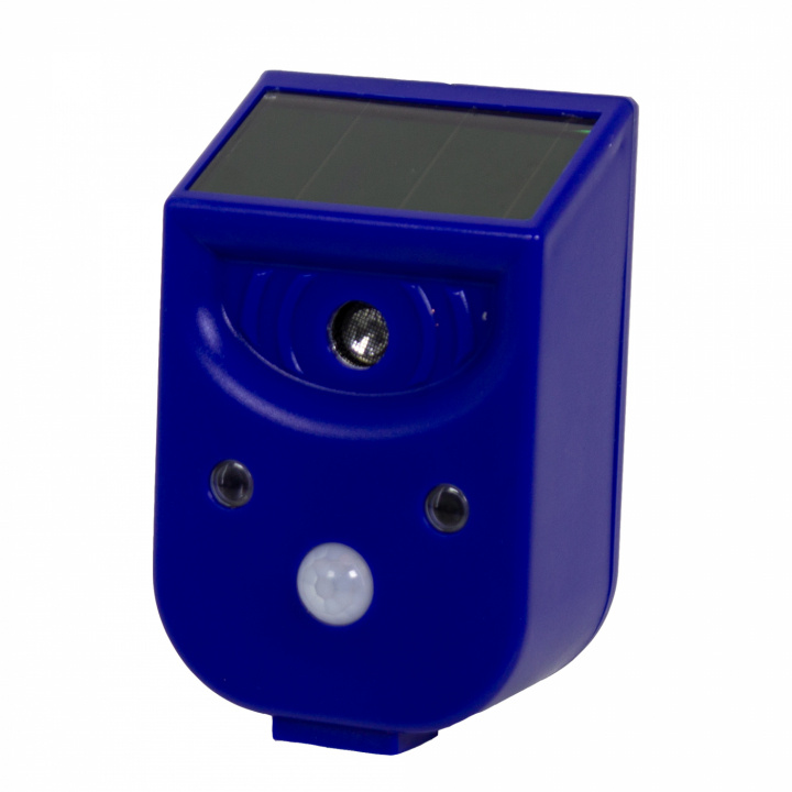 Genius Ideas Dierenverjager op zonne-energie met ultrasoon geluid en licht, Blauw in de groep HUISHOUDEN & TUIN / Tuinproducten / Ongedierte bij TP E-commerce Nordic AB (38-99653)