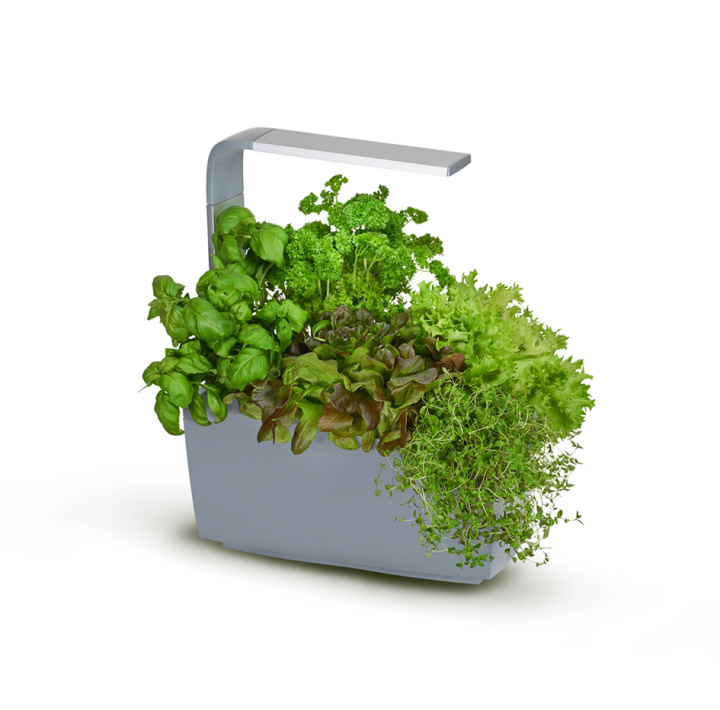 Tregren Moestuin T6 Grijs in de groep SPORT, VRIJE TIJD & HOBBY / Leuke dingen / Handige spullen bij TP E-commerce Nordic AB (A04813)