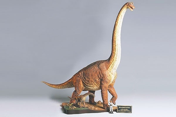 Tamiya 1/35 Brachiosaurus Diorama in de groep SPORT, VRIJE TIJD & HOBBY / Hobby / Kunststof modellen / Badkuip bij TP E-commerce Nordic AB (A06720)
