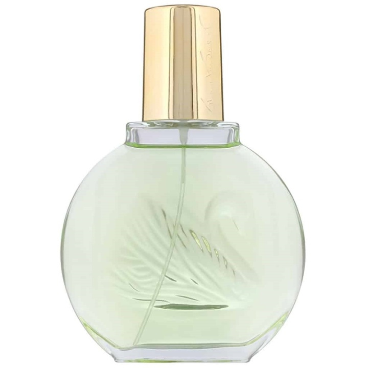 Gloria Vanderbilt Jardin a New York Edp 100ml in de groep BEAUTY & HEALTH / Geuren & Parfum / Parfum / Parfum voor haar bij TP E-commerce Nordic AB (A10932)