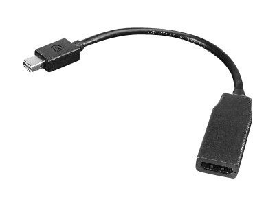 Lenovo 0B47089 videokabeladapter 0,2 m Mini DisplayPort HDMI Svart in de groep COMPUTERS & RANDAPPARATUUR / Computerkabels / DisplayPort / Adapters bij TP E-commerce Nordic AB (A15987)