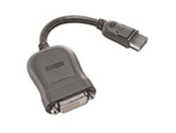 Lenovo 45J7915 videokabeladapter 0,2 m DVI-D DisplayPort in de groep COMPUTERS & RANDAPPARATUUR / Computerkabels / DVI / Adapters bij TP E-commerce Nordic AB (A15988)