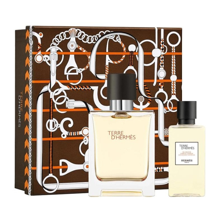 Giftset Hermes Terre d\'Hermes Edt 100ml + Shower Gel 80ml in de groep BEAUTY & HEALTH / Geuren & Parfum / Parfum / Parfum voor hem bij TP E-commerce Nordic AB (C03391)