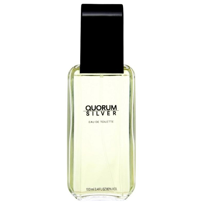 Antonio Puig Quorum Silver Edt 100ml in de groep BEAUTY & HEALTH / Geuren & Parfum / Parfum / Parfum voor hem bij TP E-commerce Nordic AB (C03835)