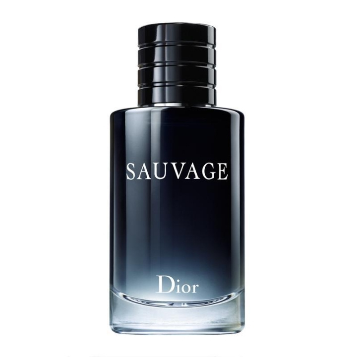 Dior Sauvage Parfym 100ml in de groep BEAUTY & HEALTH / Geuren & Parfum / Parfum / Parfum voor hem bij TP E-commerce Nordic AB (C05922)