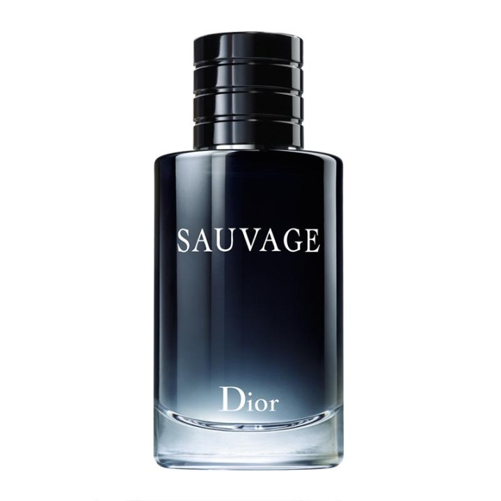 Dior Sauvage Parfum 60ml in de groep BEAUTY & HEALTH / Geuren & Parfum / Parfum / Parfum voor hem bij TP E-commerce Nordic AB (C05923)